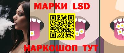 PSILOCYBIN Гатчина