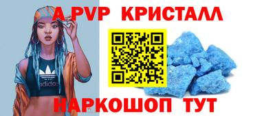 PSILOCYBIN Гатчина