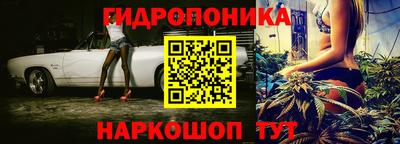 PSILOCYBIN Гатчина